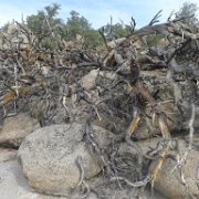 MonoBasin 169 : MonoBasin